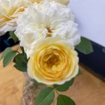 IMG_0877.jpeg