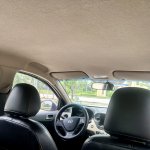 IMG_6195.jpeg