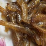 IMG_0883.jpeg