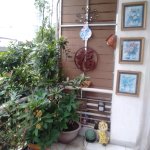 IMG20250724120123.jpg