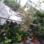 IMG20250724120138.jpg