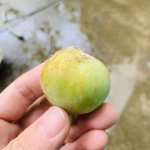 IMG_1828.jpeg