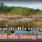 Screenshot_20250725_075545_YouTube Music.jpg