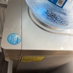 IMG_6741.jpeg