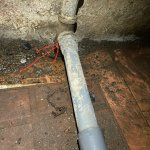 IMG_1293.jpeg