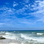 IMG_0978.jpeg