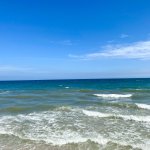 IMG_1052.jpeg