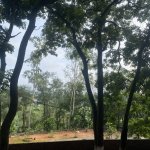 IMG_0901.jpeg
