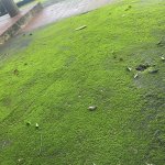 IMG_0900.jpeg