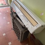 IMG_6841.jpeg