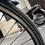 IMG_3232.jpeg
