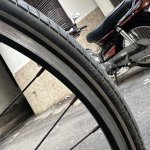 IMG_3233.jpeg