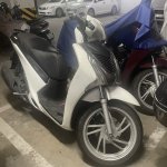 IMG_7214.jpeg