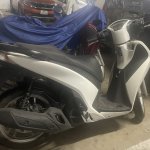 IMG_7213.jpeg