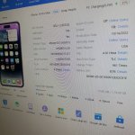 IMG_1976.jpeg