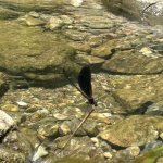 IMG_0912.jpeg