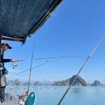 IMG_9118.jpeg
