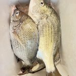 IMG_8496.jpeg
