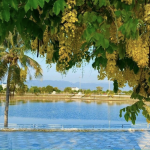 IMG_2712.png