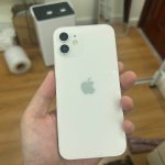 IMG_0509.jpeg