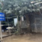 IMG_7616.jpeg