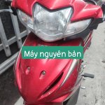 IMG_4549.jpeg