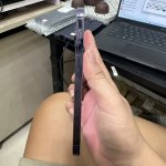 IMG_2037.jpeg