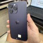 IMG_2036.jpeg