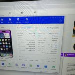 IMG_2032.jpeg