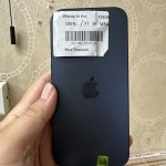 IMG_2051.jpeg