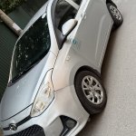 IMG_7556.jpeg