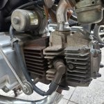 IMG_9024.jpeg