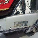 IMG_9025.jpeg