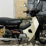 IMG_9018.jpeg