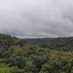 20250729_113730.jpg