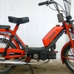IMG_1428.jpeg