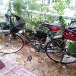 IMG20250724093436.jpg