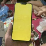 IMG_1769.jpeg