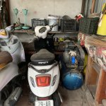 IMG_8280.jpeg
