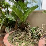 IMG_3022.jpeg
