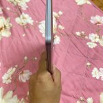 IMG_1477.jpeg