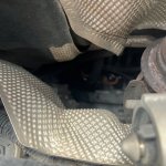 IMG_6078.jpeg