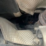 IMG_6080.jpeg