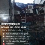 2025-07-30 18.28.20__(Điều hòa gió lạnh 365)_(Tiêu đề-Uy tín -tận tâm - chuyên nghiệp)_(-Phân ...jpg