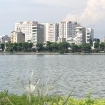 IMG_2406.jpeg