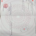 IMG_9598.jpeg