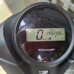 IMG_4654.jpeg