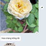 IMG_0979.jpeg
