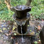 IMG_5883.jpeg
