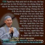 IMG_1681.jpeg